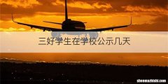 三好学生在学校公示几天