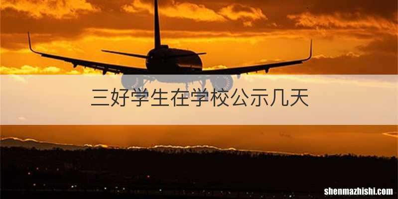 三好学生在学校公示几天