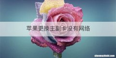 苹果更换主副卡没有网络