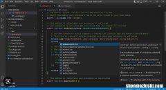 如何在VS Code中打开解决方案资源管理器
