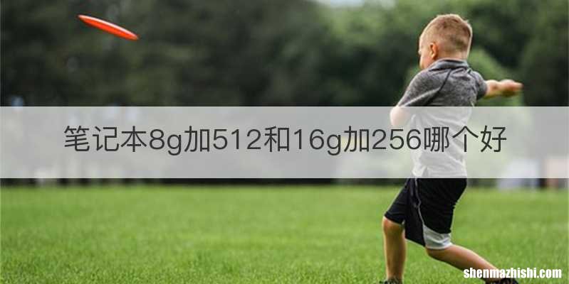 笔记本8g加512和16g加256哪个好
