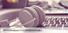 如何在Windows11中启用或禁用深色模式