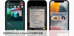 如何在iPhone上从Apple ID中删除设备，4种解绑方法