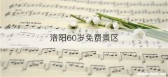 洛阳60岁免费景区