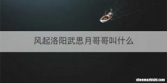 风起洛阳武思月哥哥叫什么