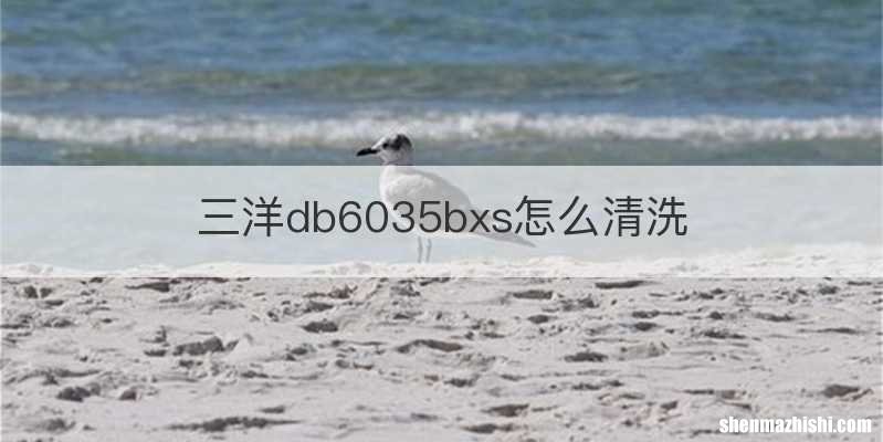 三洋db6035bxs怎么清洗