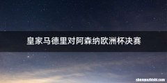 皇家马德里对阿森纳欧洲杯决赛