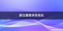 新白鹿巷球场地址