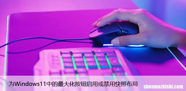 为Windows11中的最大化按钮启用或禁用快照布局
