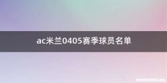 ac米兰0405赛季球员名单