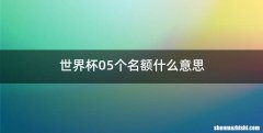 世界杯05个名额什么意思