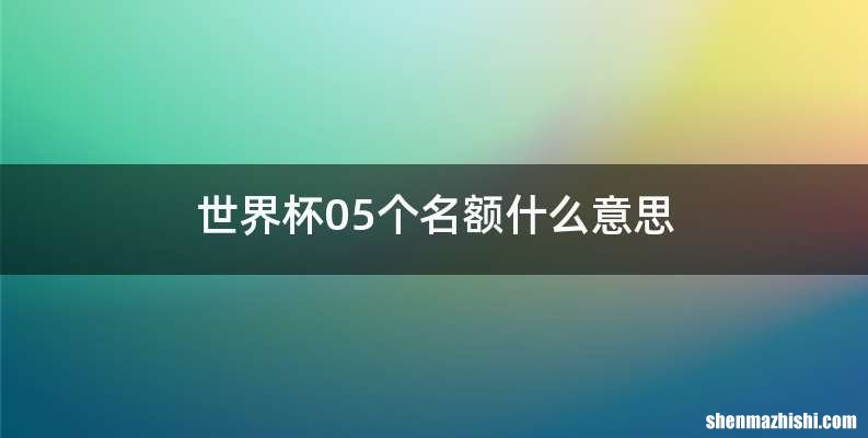 世界杯05个名额什么意思