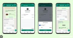 如何在Windows上进行WhatsApp群组视频通话