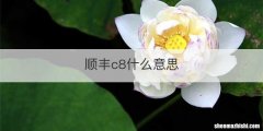 顺丰c8什么意思