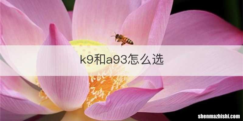 k9和a93怎么选