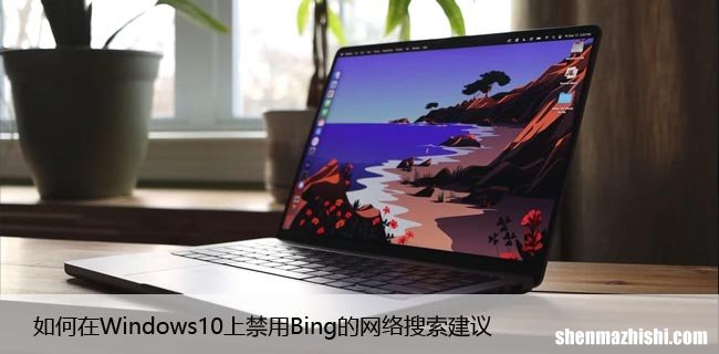 如何在Windows10上禁用Bing的网络搜索建议