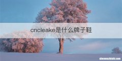 cncleake是什么牌子鞋