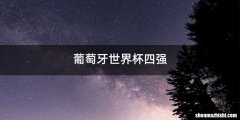 葡萄牙世界杯四强