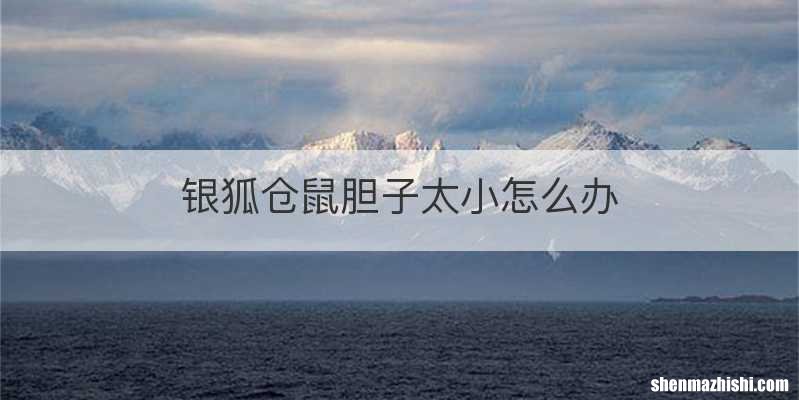 银狐仓鼠胆子太小怎么办