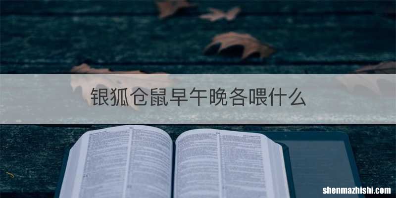 银狐仓鼠早午晚各喂什么