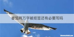 番茄两万字被拒签还有必要写吗
