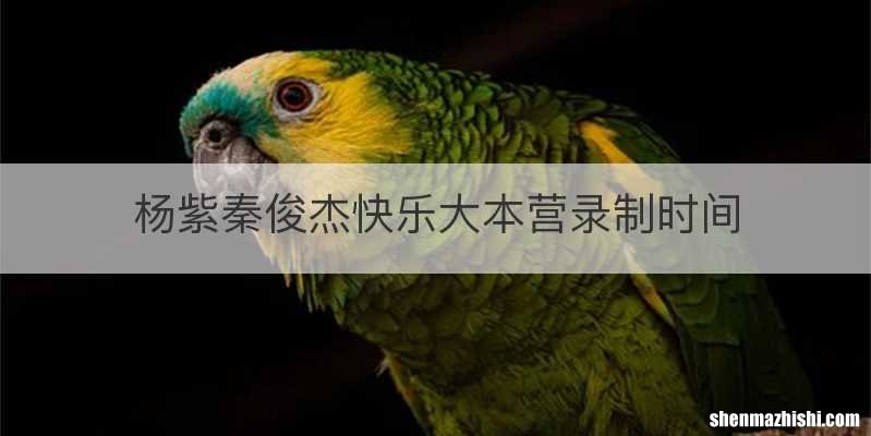 杨紫秦俊杰快乐大本营录制时间