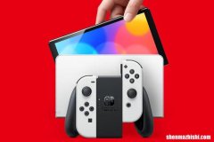 Nintendo Switch无法连接到电视时该怎么办