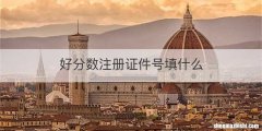 好分数注册证件号填什么