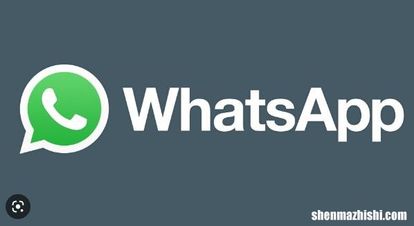 如何修复您的电话日期在WhatsApp中不准确的错误
