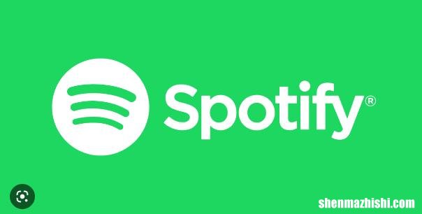 修复Spotify无法在iPhone上运行的7大方法