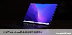 设置方法 如何在Windows10中启用或禁用摄像头