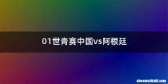 01世青赛中国vs阿根廷