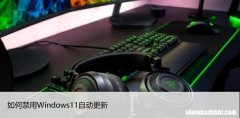 如何禁止Windows11自动更新，操控系统由你掌控！