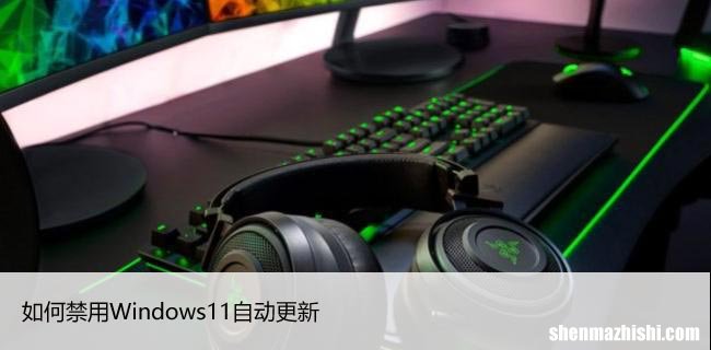 如何禁止Windows11自动更新，操控系统由你掌控！