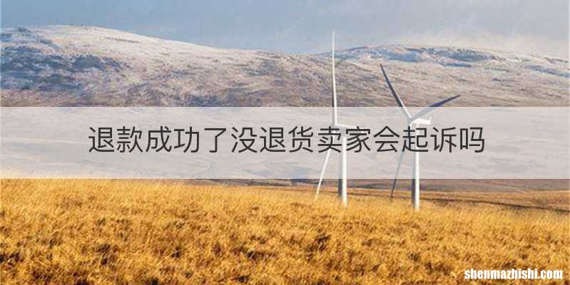 退款成功了没退货卖家会起诉吗