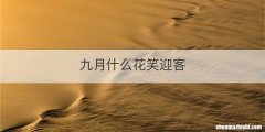 九月什么花笑迎客