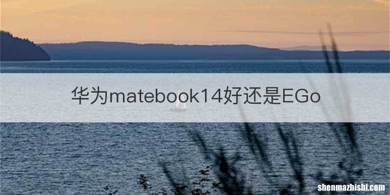 华为matebook14好还是EGo