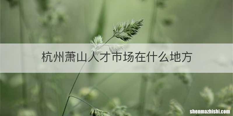 杭州萧山人才市场在什么地方