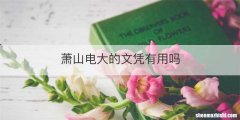 萧山电大的文凭有用吗
