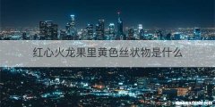 红心火龙果里黄色丝状物是什么