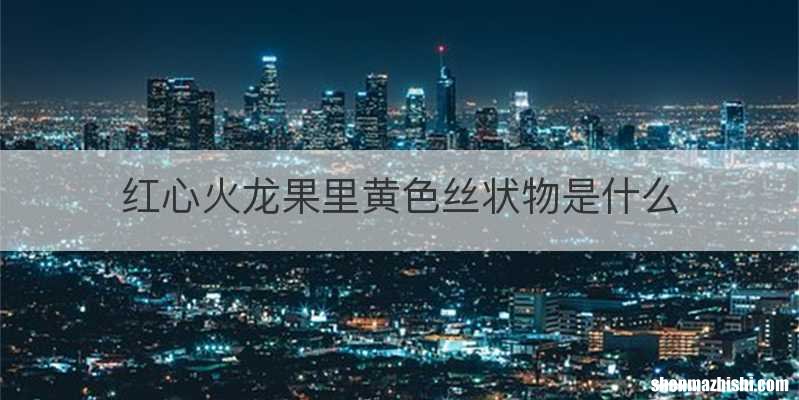 红心火龙果里黄色丝状物是什么