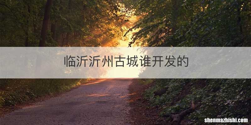 临沂沂州古城谁开发的