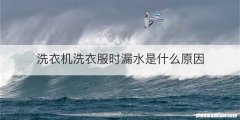 洗衣机洗衣服时漏水是什么原因