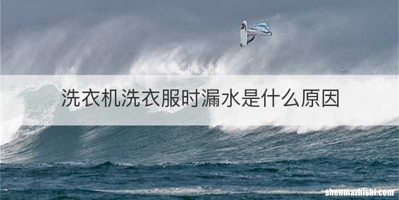 洗衣机洗衣服时漏水是什么原因
