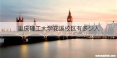 重庆理工大学花溪校区有多少人