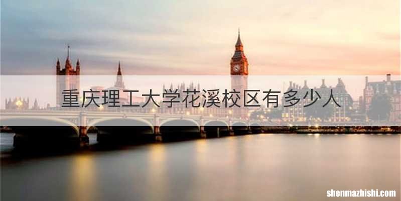 重庆理工大学花溪校区有多少人