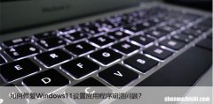 如何修复Windows11设置应用程序崩溃问题？