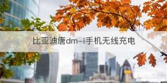 比亚迪唐dm-i手机无线充电