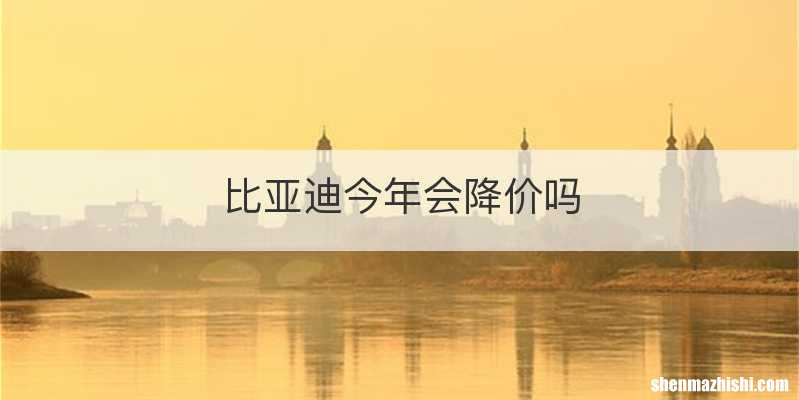 比亚迪今年会降价吗