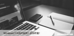 Windows 11 关机时崩溃？这是修复！
